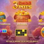 3 China Pots