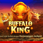 Buffalo King