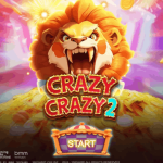 Crazy Crazy 2
