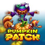 Pumpkin Patch