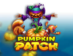 Pumpkin Patch